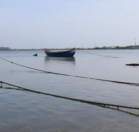 Casa Galricho Murtosa