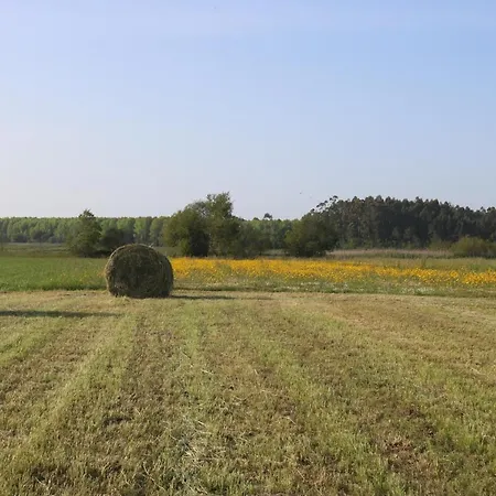 Casa Galricho Гостевой дом