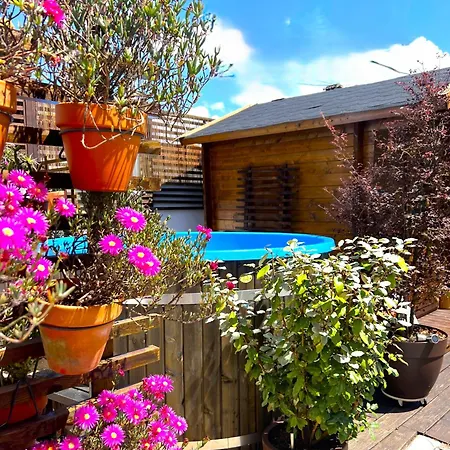 Galricho Heritage House 4* Murtosa