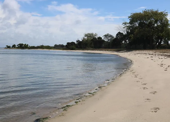 Casa Galricho 3* Murtosa